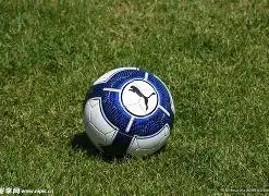 实现,数字钱包构,雷竞技RAYBET官方入口,雷竞技RAYBET官方平台,雷竞技RAYBET官方网站,雷竞技RAYBET官方入口,雷竞技RAYBET电竞竞猜