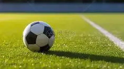 雷竞技RAYBET官方入口 资讯 114611 21u