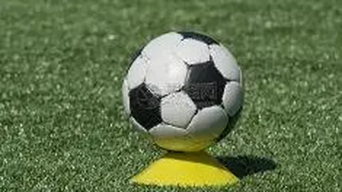 雷竞技RAYBET官方入口 产品 101505 ap5