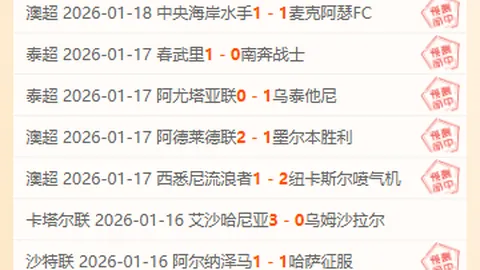 尹锡悦弹劾案最终辩论环节发言总结